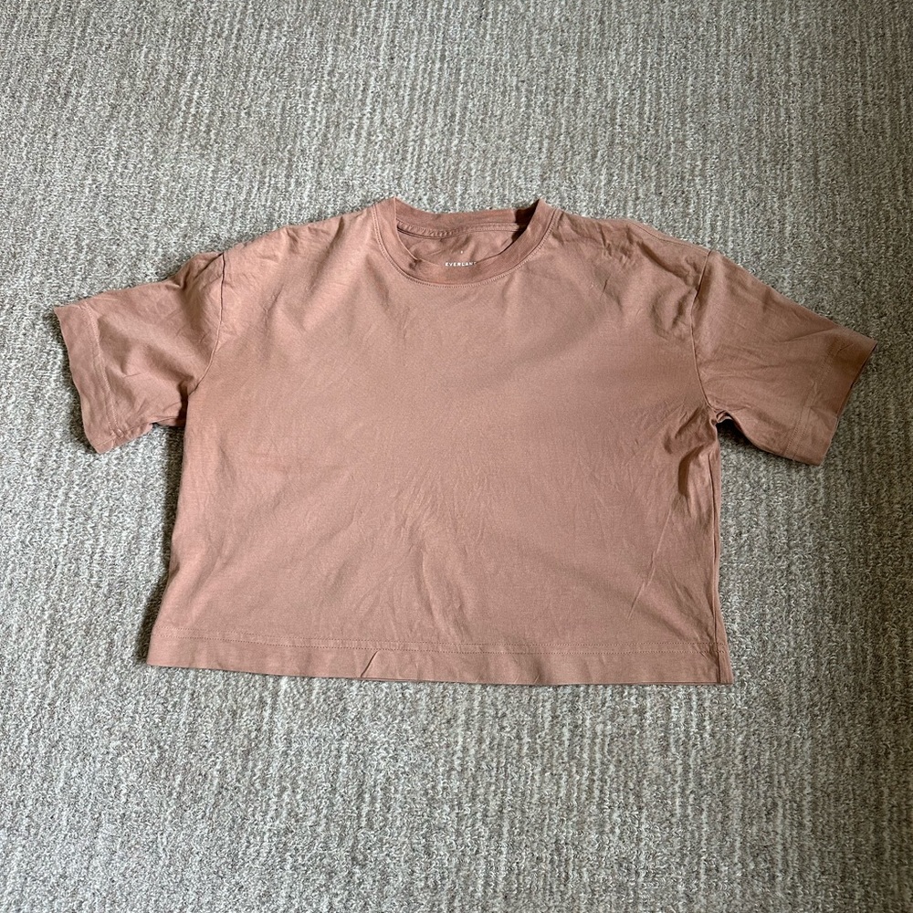 Everlane organic cropped tee